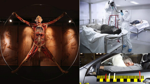 Perché, la morte può aiutare la vita