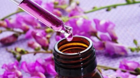 Ansie e paure: l’aiuto dei fiori di Bach