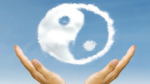 Rigenera il fegato per allontanare rabbia e ingorghi emotivi