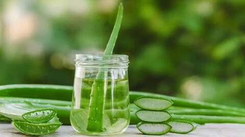 Aloe vera, un’autentica cascata di freschezza primaverile