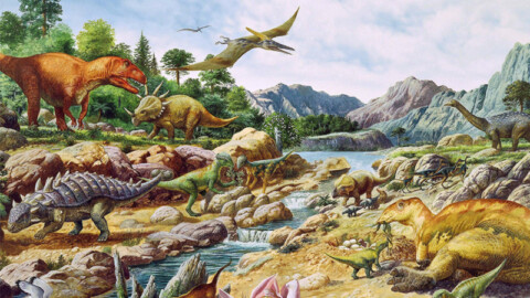 Ancora oggi c'è un dinosauro tra noi: quante somiglianze!