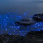 Hidden Wonders of Science: Twenty Mind-Bending Realities of Our Universe