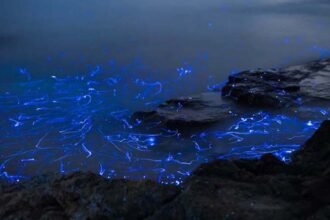Hidden Wonders of Science: Twenty Mind-Bending Realities of Our Universe