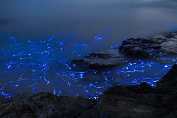 Hidden Wonders of Science: Twenty Mind-Bending Realities of Our Universe