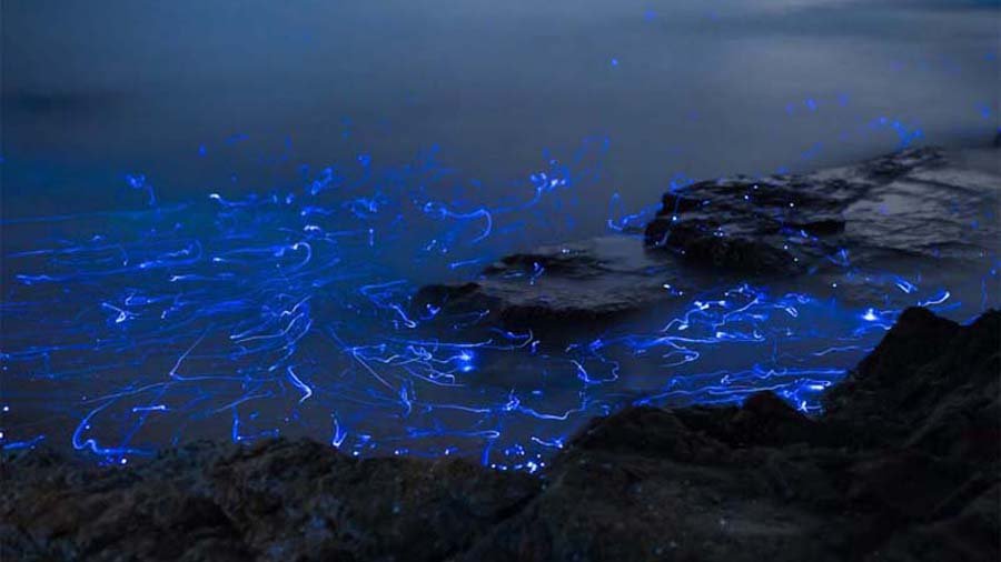 Hidden Wonders of Science: Twenty Mind-Bending Realities of Our Universe