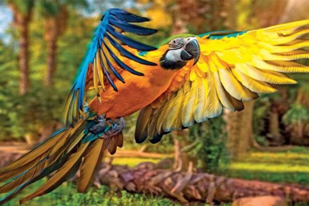 Large multi-colored macaw parrot displaying vibrant red yellow and blue feathers in a tropical rainforest setting