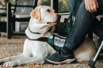 A person crouching down sideways to politely greet a friendly dog outdoors following proper canine etiquette.