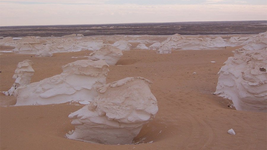 A breathtaking photo of white chalk rock formations rising like giant stone mushrooms from the pale sand in Sahara El Beyda under a bright blue sky.