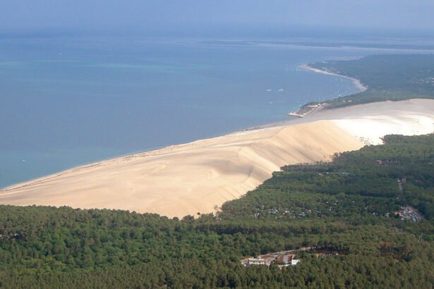 A breathtaking panoramic view of the towering Dune of Pilat in France, showing its sweeping quartz sand slope meeting the Atlantic ocean and green pine forest.